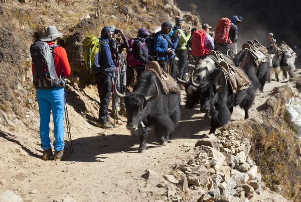 Himalayas Nepal Cirka Noviembre 2017 Caminantes Camino Campamento Base Del —  Fotos de Stock