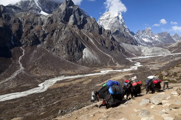 Himalayas Nepal Cirka November 2017 Everest Ana Kampı Giden Yürüyüşçüler — Stok fotoğraf