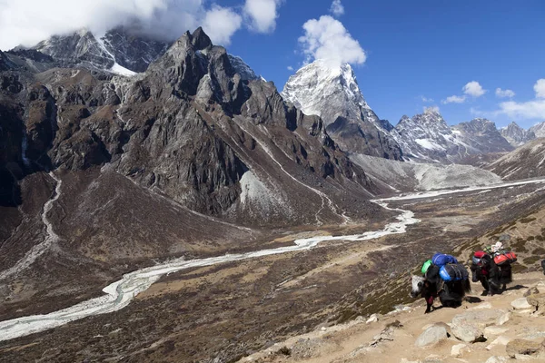 Himalayas Nepal Cirka November 2017 Everest Ana Kampı Giden Yürüyüşçüler — Stok fotoğraf