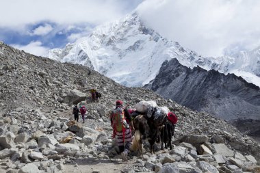 HIMALAYAS, NEPAL - CIRKA NOVEMBER 2017: Everest Ana Kampı 'na giden yürüyüşçüler, güzel güneşli hava ve muhteşem manzaralar