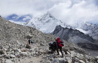 HIMALAYAS, NEPAL - CIRKA NOVEMBER 2017: Everest Ana Kampı 'na giden yürüyüşçüler, güzel güneşli hava ve muhteşem manzaralar