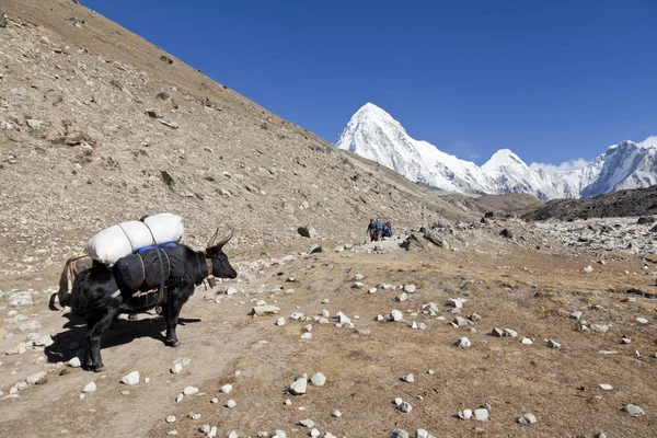 Himalayas Nepal Cirka Noviembre 2017 Turistas Antiguo Pueblo Montaña Lobuche — Foto de Stock