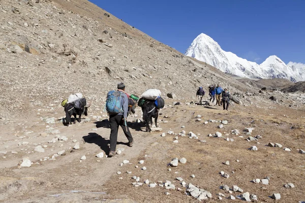 Himalayas Nepal Cirka November 2017 Caminhantes Caminho Everest Base Camp — Fotografia de Stock
