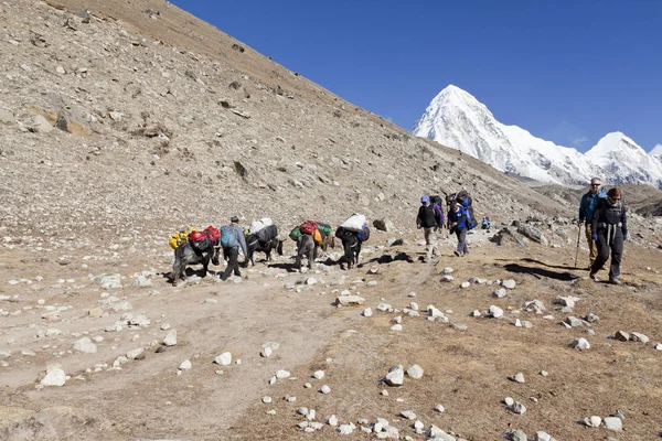 Himalayas Nepal Cirka Novembre 2017 Escursionisti Diretti Campo Base Dell — Foto Stock