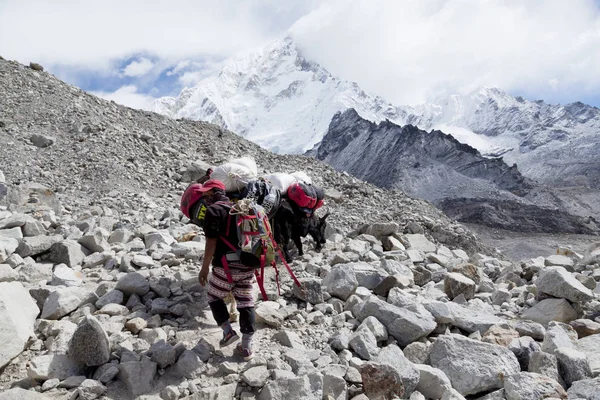 Himalayas Nepal Cirka November 2017 Wandelaars Weg Naar Basiskamp Everest — Stockfoto