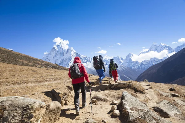 Everest Ana Kampına Giden Yürüyüşçüler Khumbu Vadisi Sagarmatha Ulusal Parkı — Stok fotoğraf