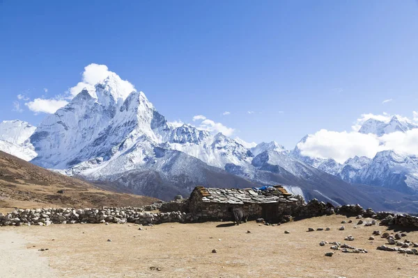 Park Narodowy Sagarmatha Nepalskie Himalajie Zdjęcia Stockowe bez tantiem