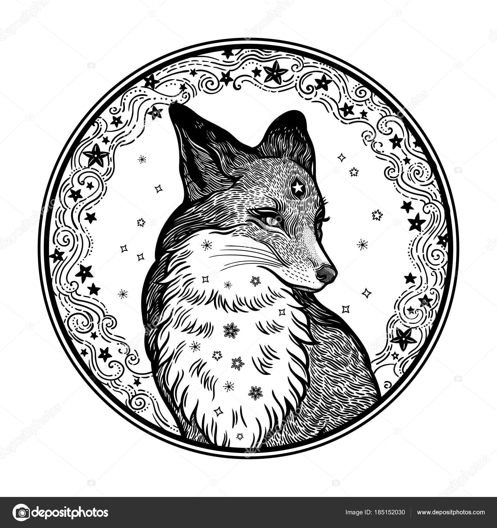 En El Fondo De La Luna Del Zorro Vector De Stock Itstatulya