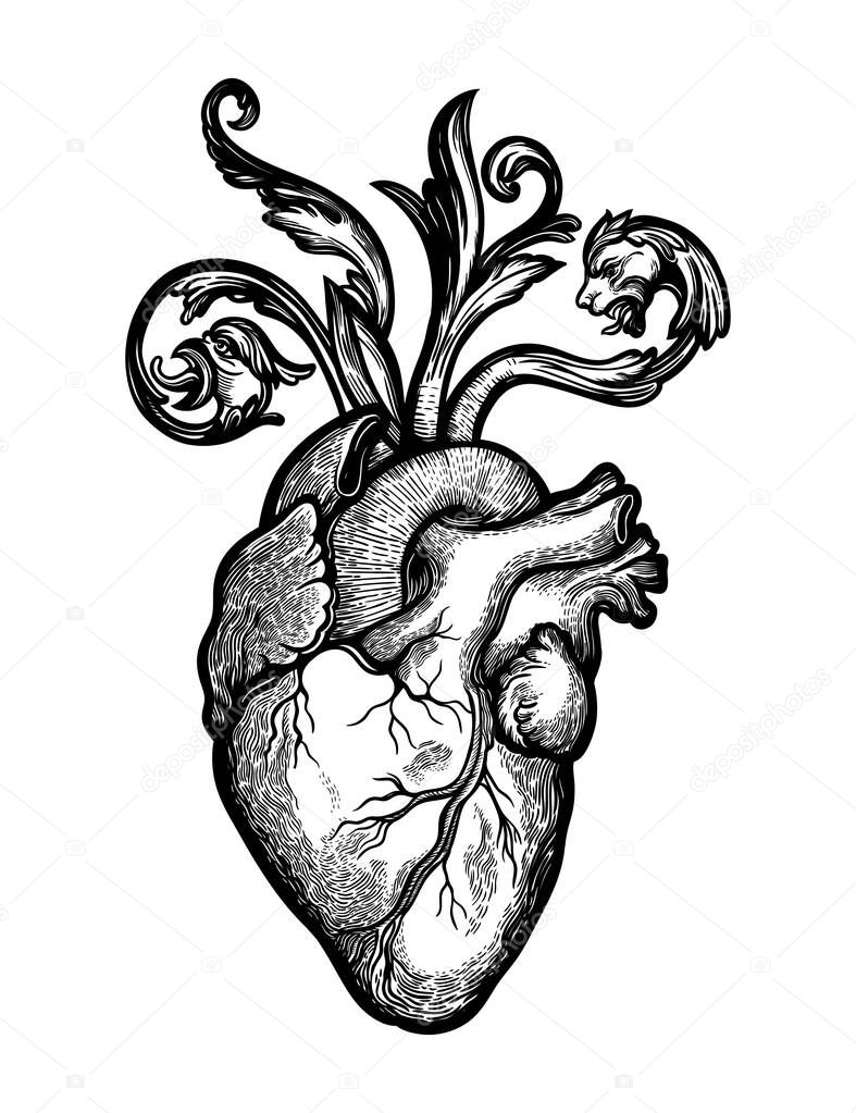 Decorative naturalistic heart with baroque elements.Vintage gothic style inspired art. Vector illustration isolated. Tattoo design, trendy romance symbol for your use.
