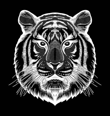 Kaplan portresi. Rüya gibi sihir sanatı. Güç sembolü. İzole vektör çizimi. Açık hava, dövme ve tişört tasarımı harika..