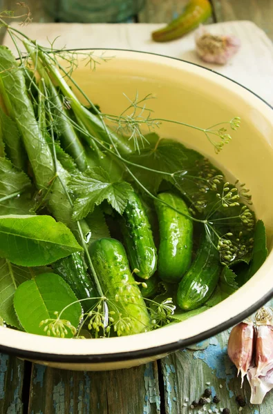 Fresh and pickled cucumbers, homemade preserved vegetables — Stock Photo, Image