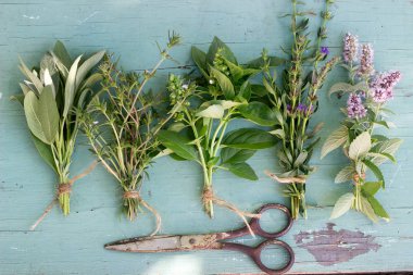 Ahşap arka plan üzerinde farklı taze otlar