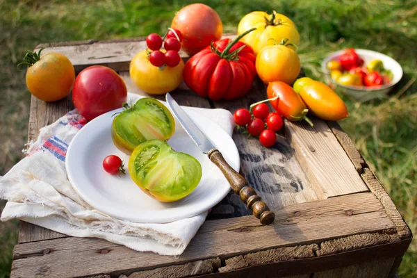 Различные сорта спелых свежих помидоров различных форм и ярких цветов — стоковое фото