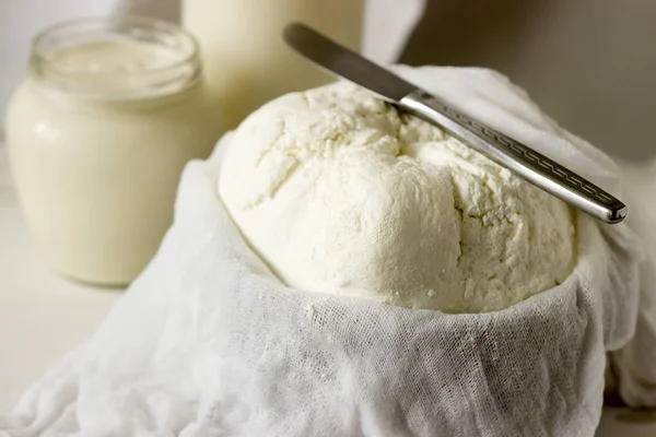 Productos lácteos caseros: requesón, crema agria y leche sobre fondo blanco. Estilo rústico . —  Fotos de Stock