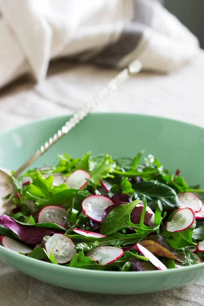 Vegetarian Salad Herbs Radish Light Background Selective Focus — Stock Photo, Image