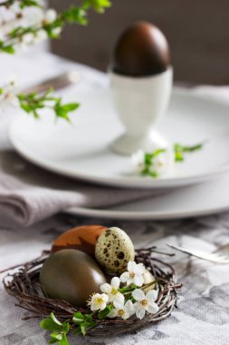 Kirazlı erikle süslenmiş Paskalya masası. Seçici odak.