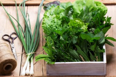 Ahşap arka planda çeşitli baharatlı otlar, salata ve yeşil soğanlar. Kırsal biçim, seçici odak.