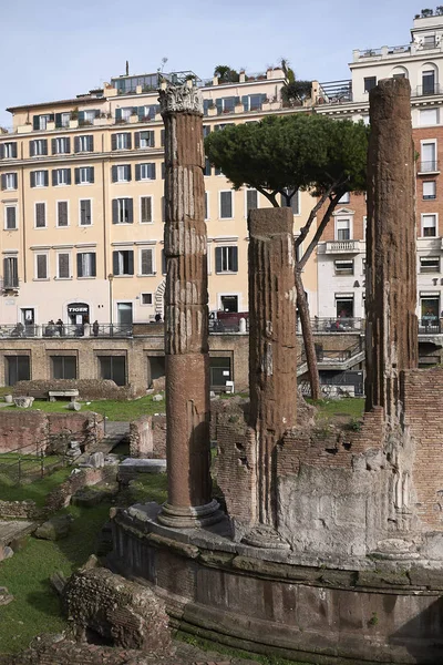 Róma Olaszország 2020 Február Largo Argentína Szent Területének Megtekintése — Stock Fotó