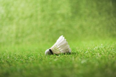 Badminton raketle çimenlerin üzerinde 