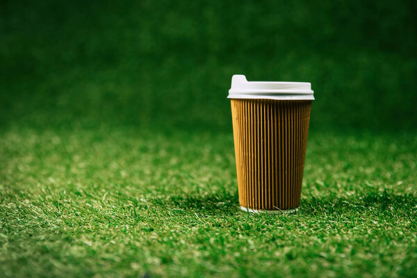 disposable cup of coffee on green lawn