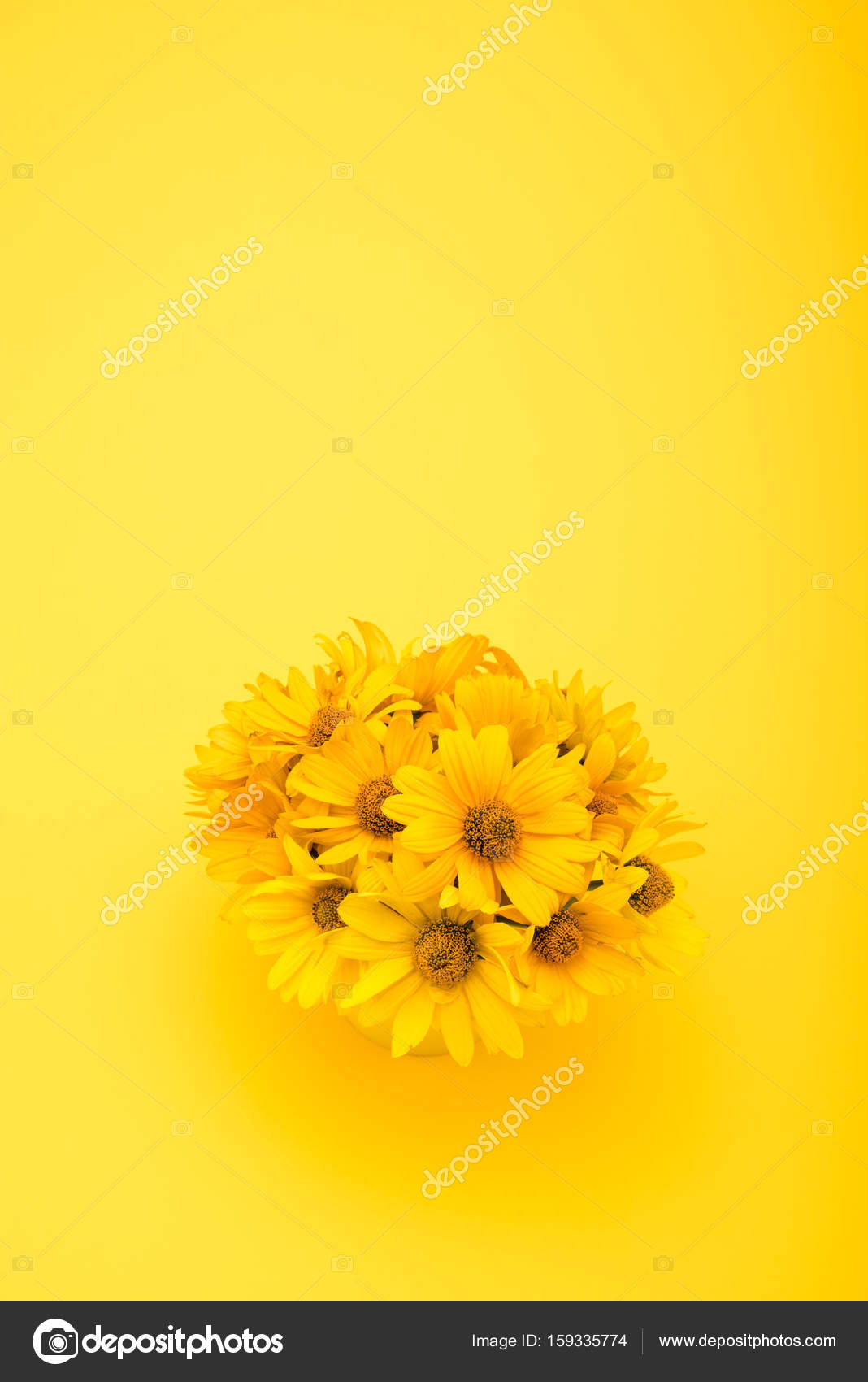 Download 1 046 310 Yellow Flowers Stock Photos Free Royalty Free Yellow Flowers Images Depositphotos