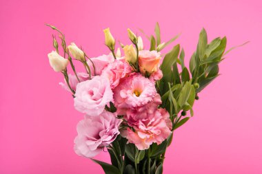 Картина, постер, плакат, фотообои "красивые розовые цветы постеры картины пионы одуванчики тюльпаны", артикул 159334624