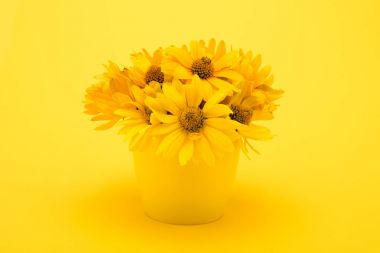Beautiful yellow flowers clipart