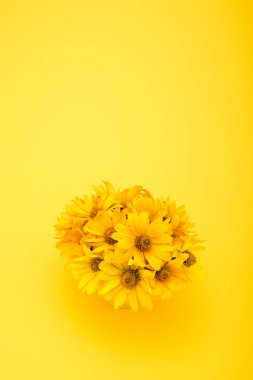 Güzel sarı çiçekler