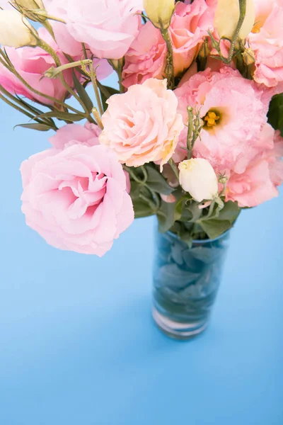 Beautiful pink flowers — Stock Photo, Image