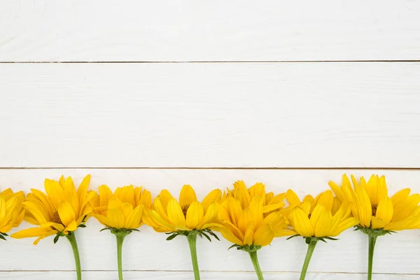 Beautiful yellow flowers — Stock Photo, Image