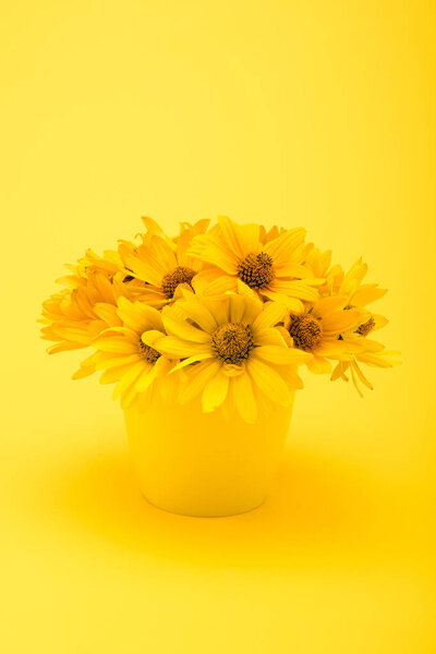Красивые желтые цветы