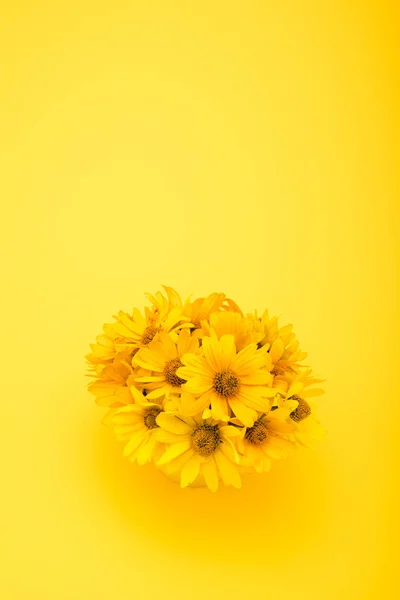 Mooie gele bloemen — Stockfoto