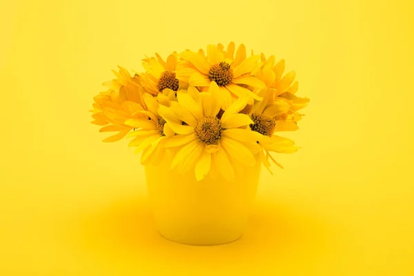 Download 12 218 958 Yellow Stock Photos Free Royalty Free Yellow Images Depositphotos