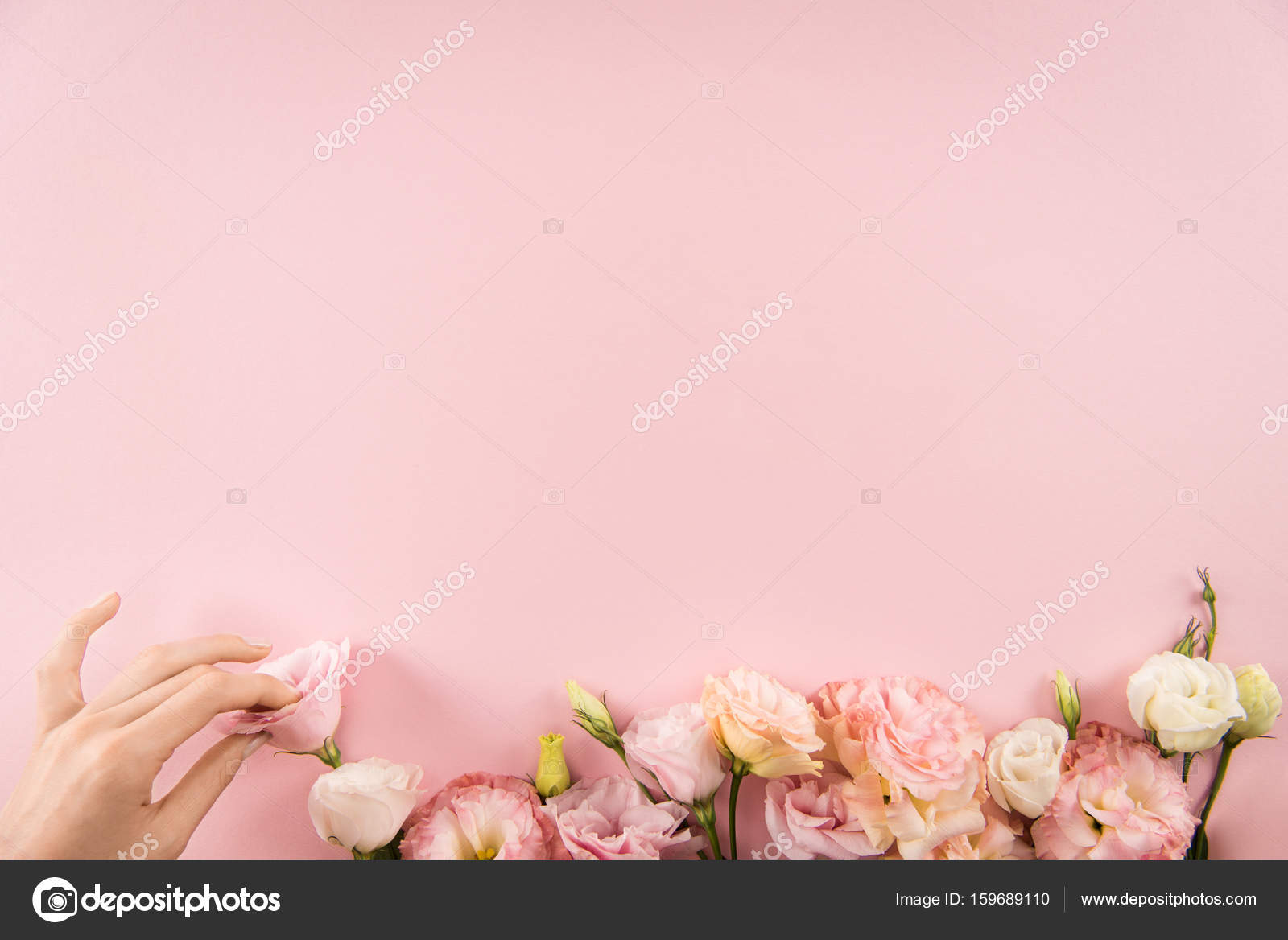 花写真素材 ロイヤリティフリー花画像 Depositphotos