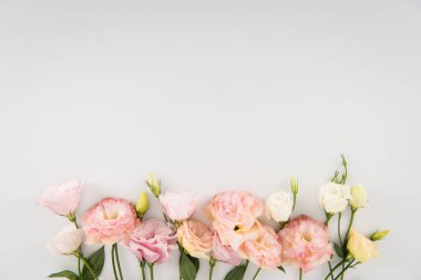 Картина, постер, плакат, фотообои "красивые цветущие цветы розы черно лилии ван гог сакура", артикул 159689056