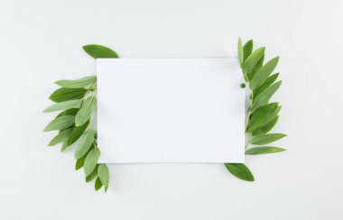 Blank card with green leaves