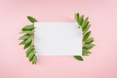 Blank card with green leaves clipart