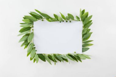 Blank card with green leaves clipart