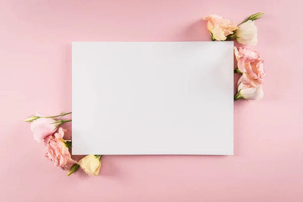 Lindas flores e cartão em branco — Fotografia de Stock