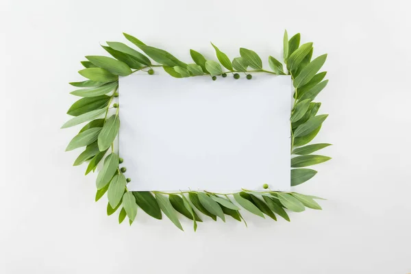 Carte blanche avec feuilles vertes — Photo