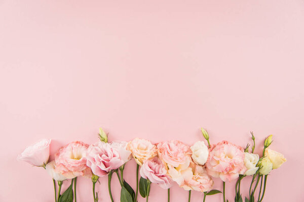 Hermosas flores en flor — Imagen de stock Hermosas flores en flor Imágenes De Stock Sin Royalties Gratis