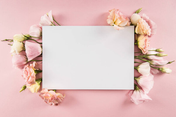 Beautiful flowers and blank card Royalty Free Stock Images