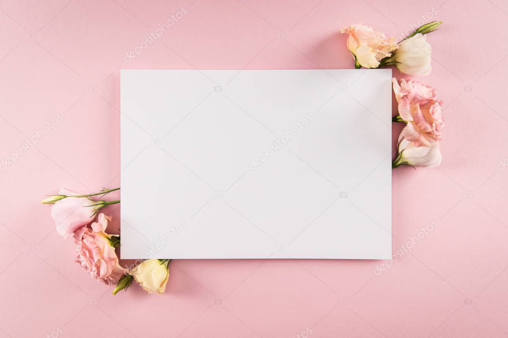 Beautiful flowers and blank card