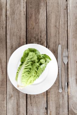 taze letuce salata plaka üzerinde