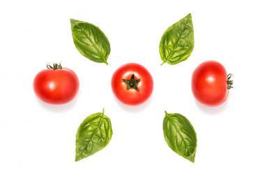 composition of tomatoes with basil leaves clipart