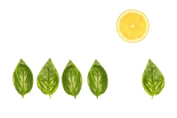 Basil leaves and lemon slice — Stock Photo, Image