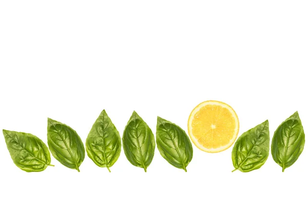 Folhas de manjericão e fatia de limão — Fotografia de Stock