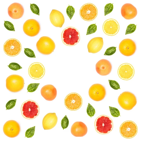 Citrus fruits and basil leaves — Stock Photo, Image