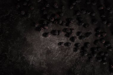blackberries clipart