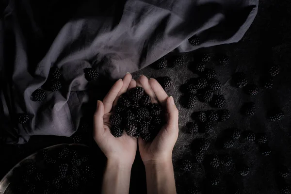 Blackberries in hands — Stock Photo, Image